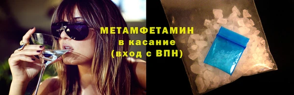 индика Богданович