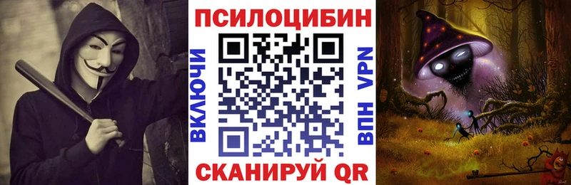 Галлюциногенные грибы Cubensis  купить   Туапсе 