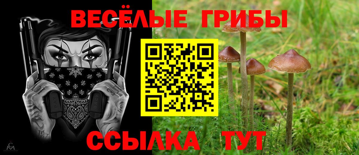 Туапсе  Псилоцибиновые грибы мицелий  дарнет шоп  Вход с VPN 